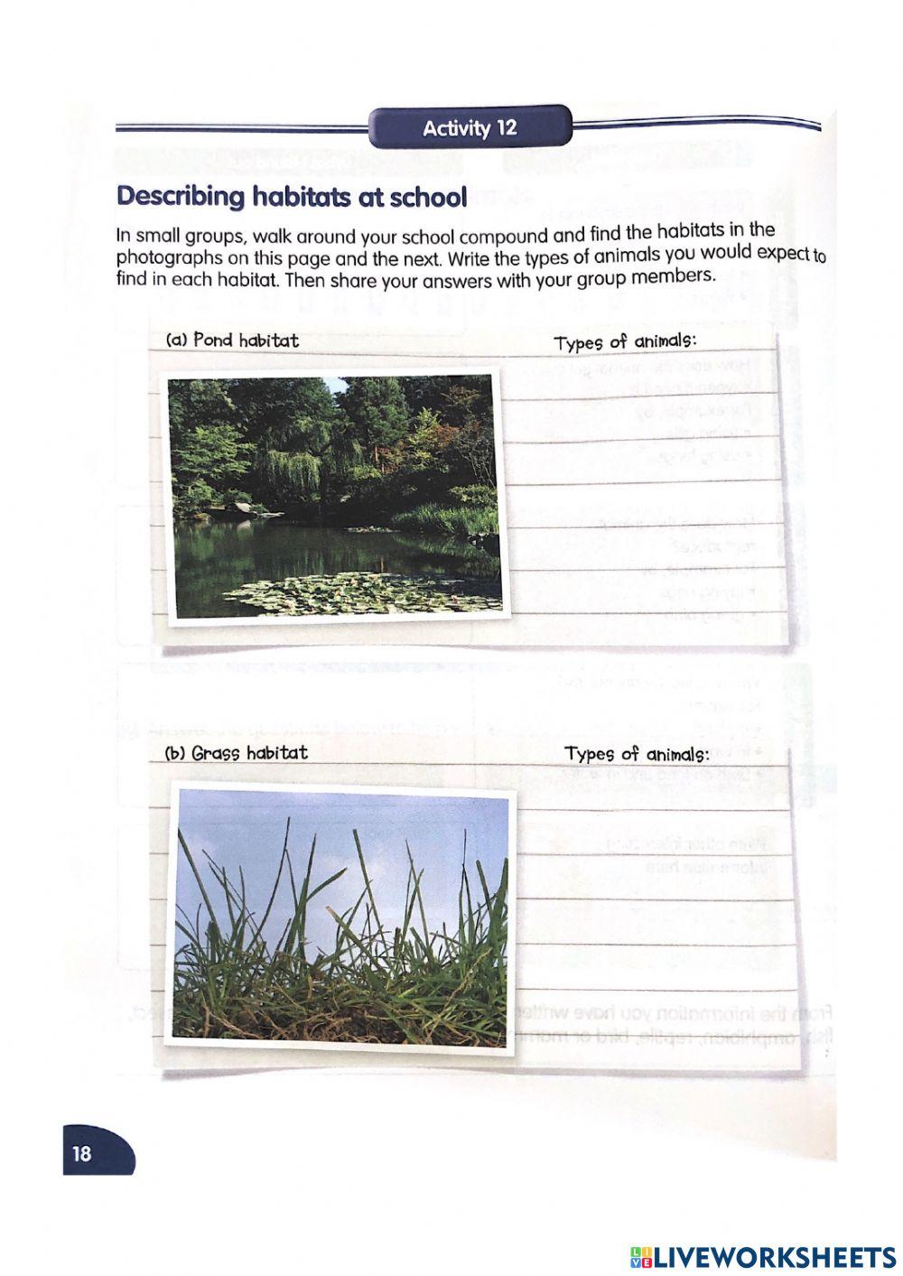 Pond and Gras Habitat