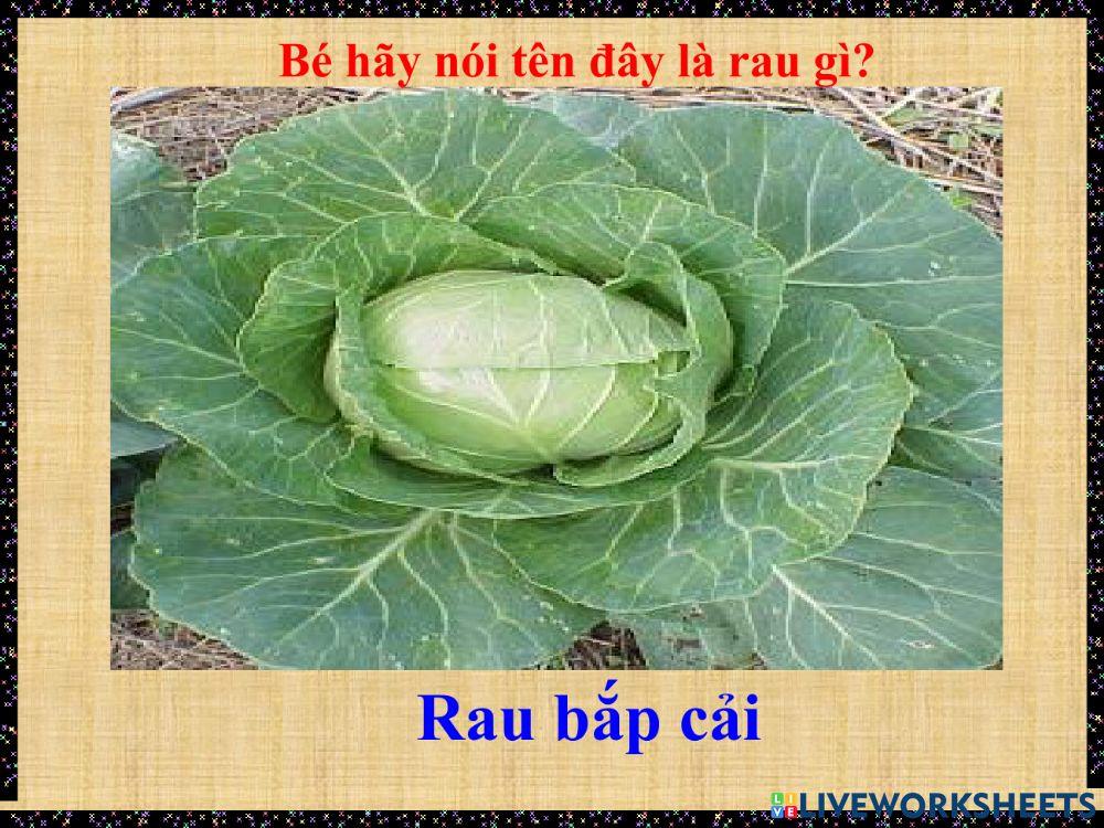 Trò chơi: khám phá một số loại rau