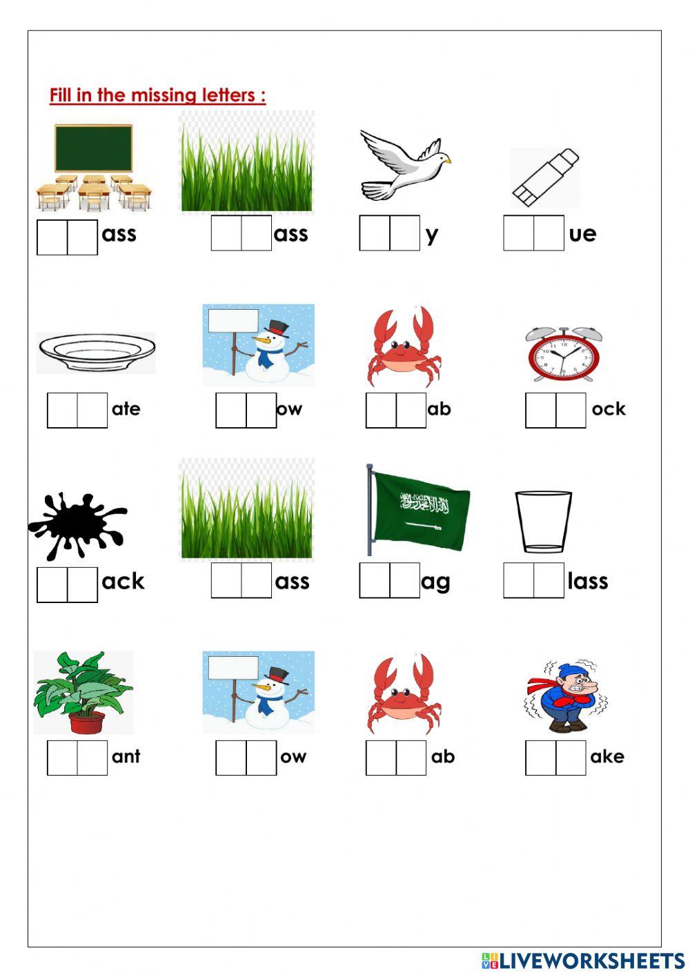 Fifth grade revision