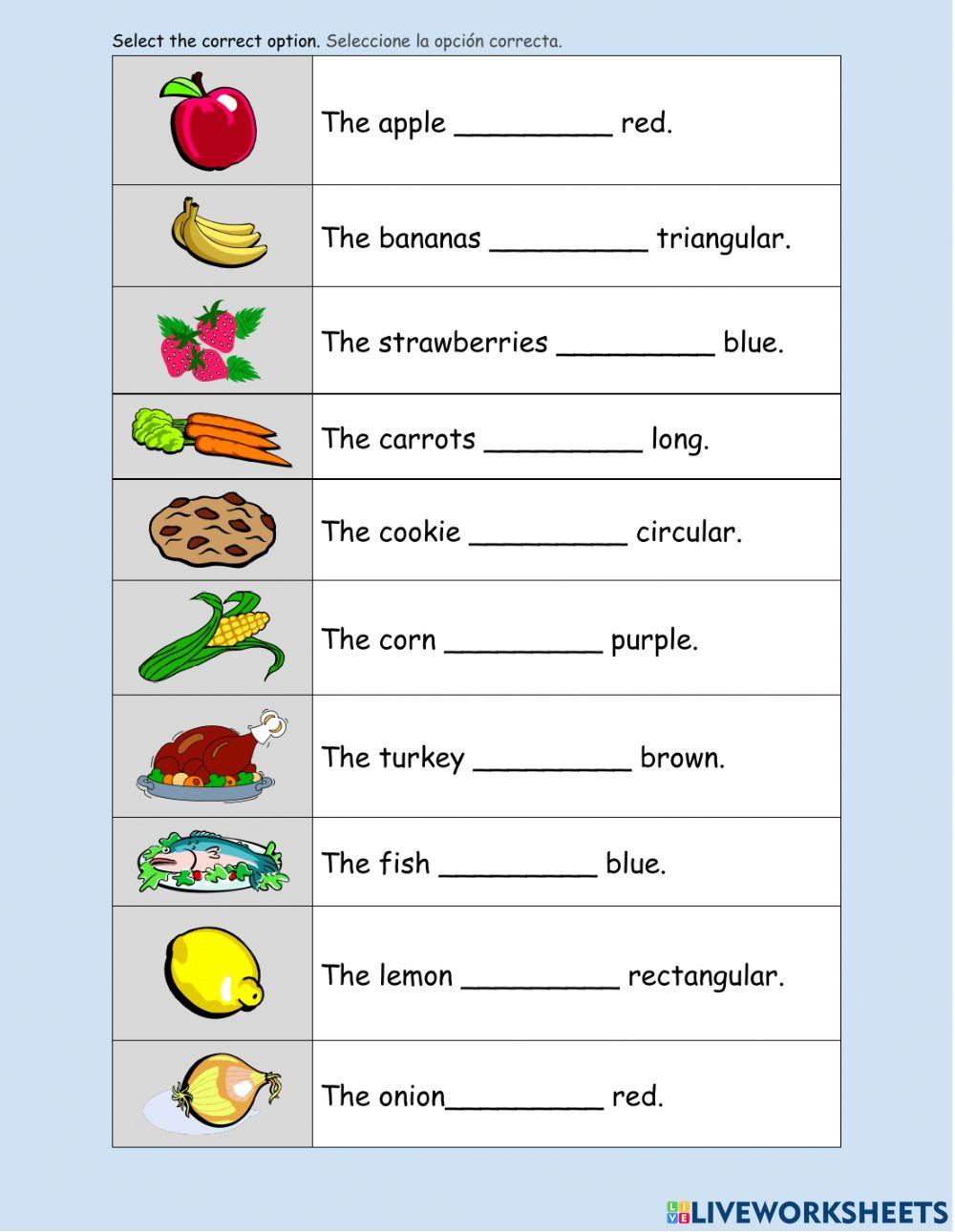 Is - are - is not - are not Practice