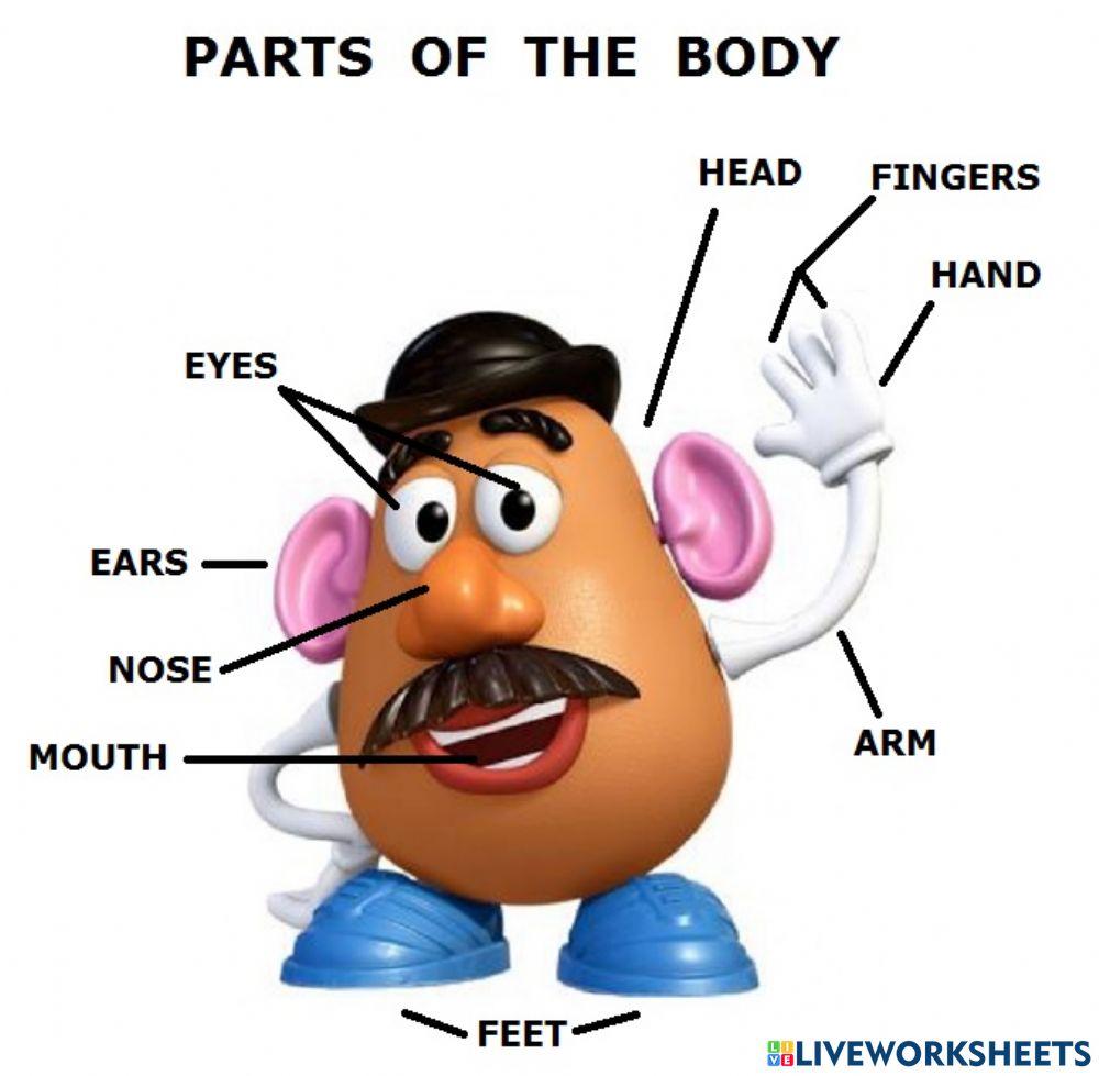 Parts of the body