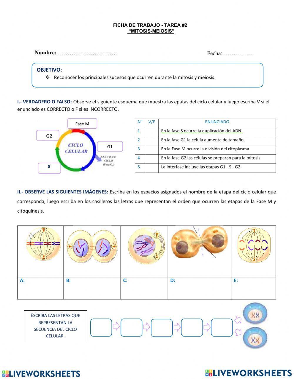Mitosis y Meiosis Mitosis y Meiosis
