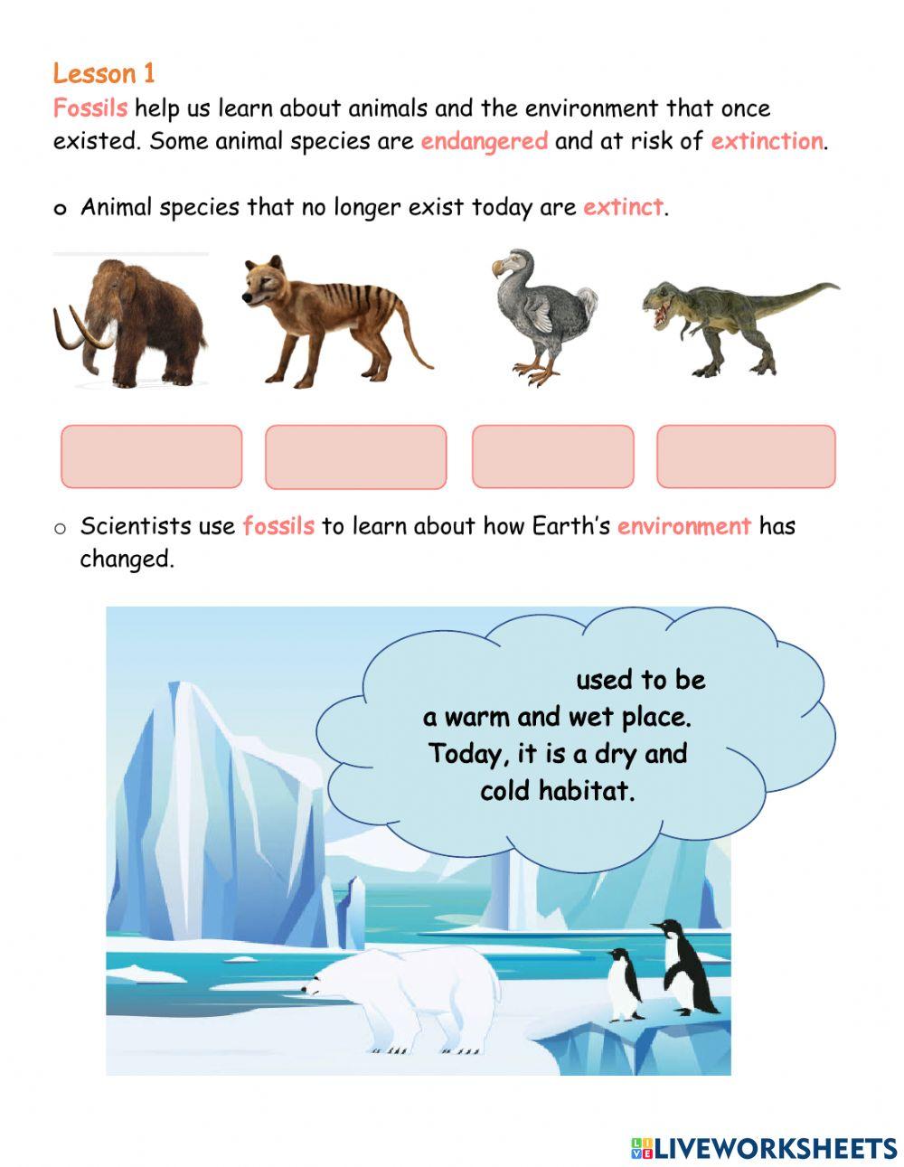 Unit 3 - Revision Part 2