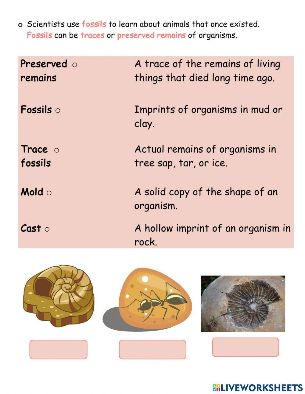 Unit 3 - Revision Part 2