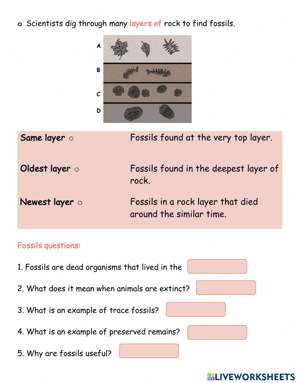 Unit 3 - Revision Part 2