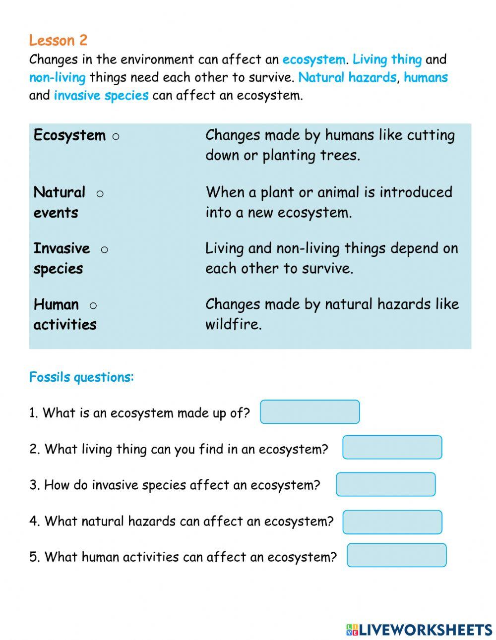 Unit 3 - Revision Part 2