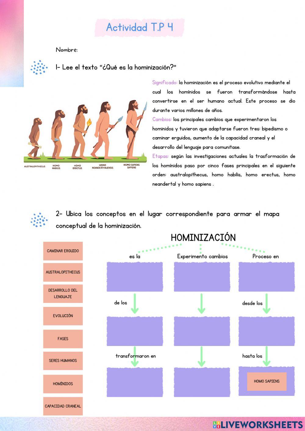 Evolucón del hombre