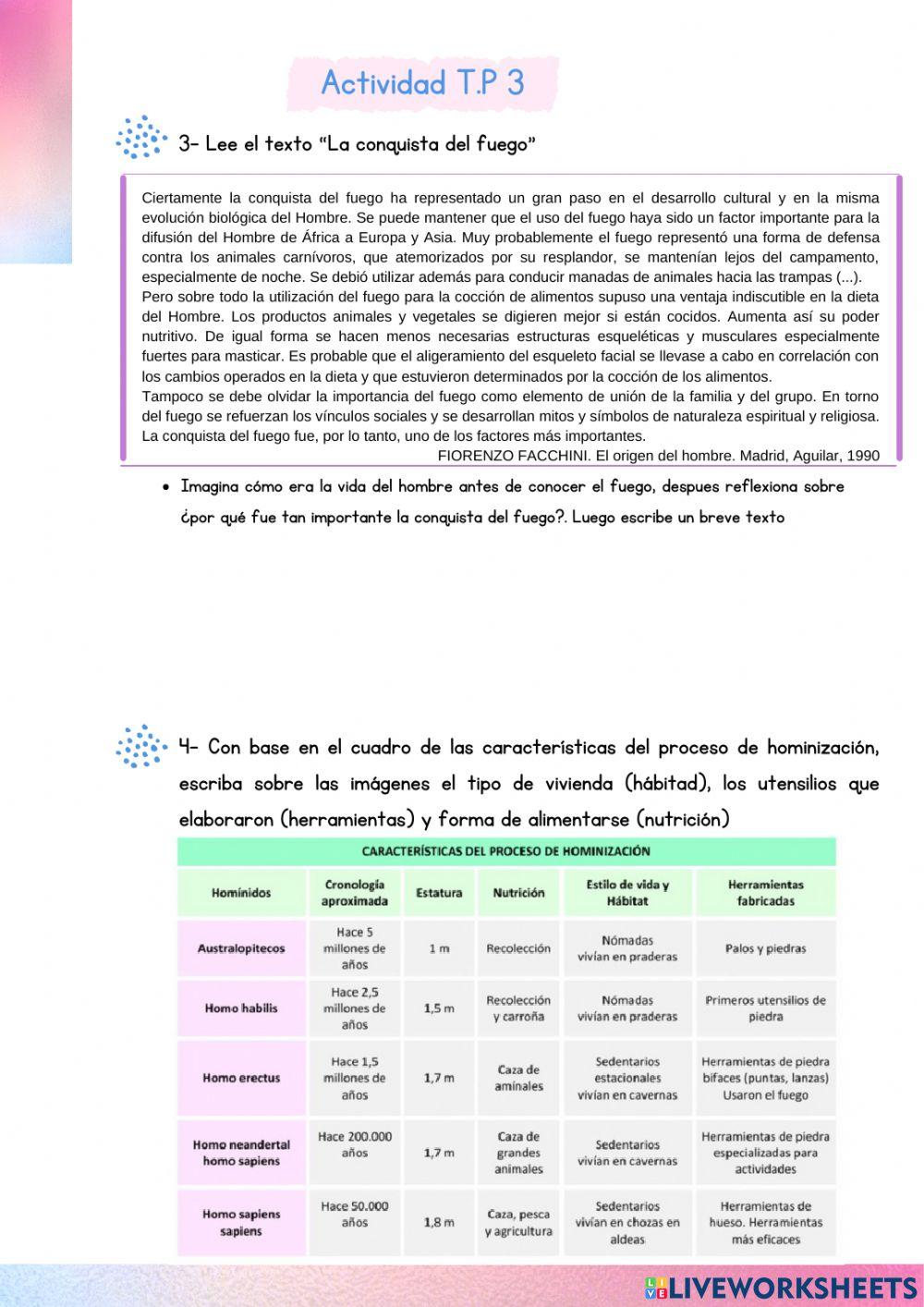Evolucón del hombre