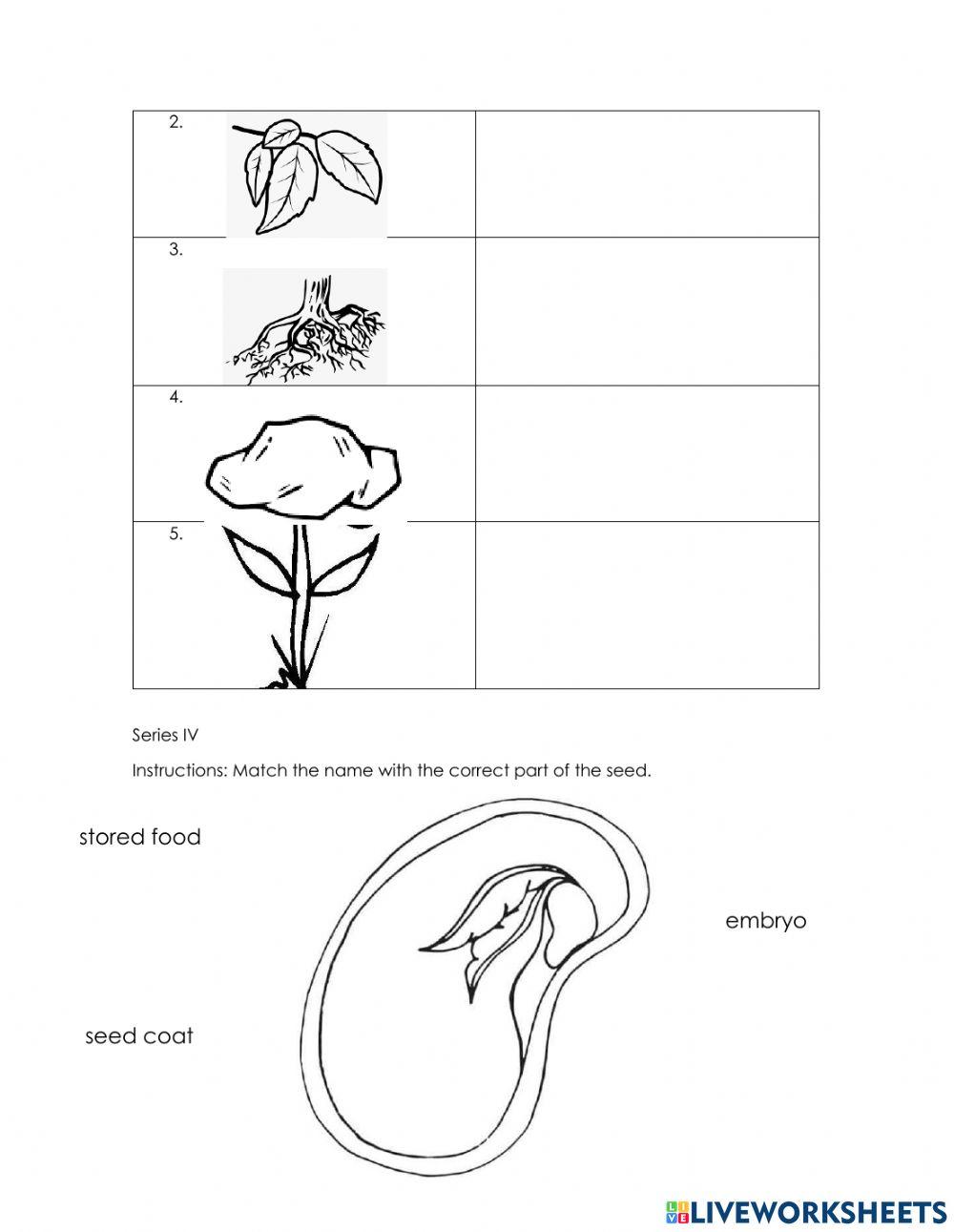 I unit exam first grade