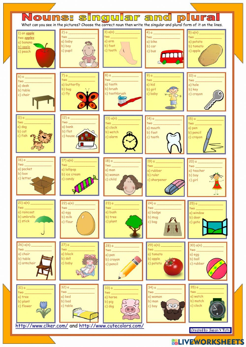 Singular and Plural Nouns