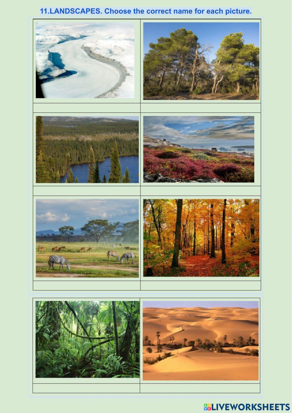 Weather, climate and landscapes