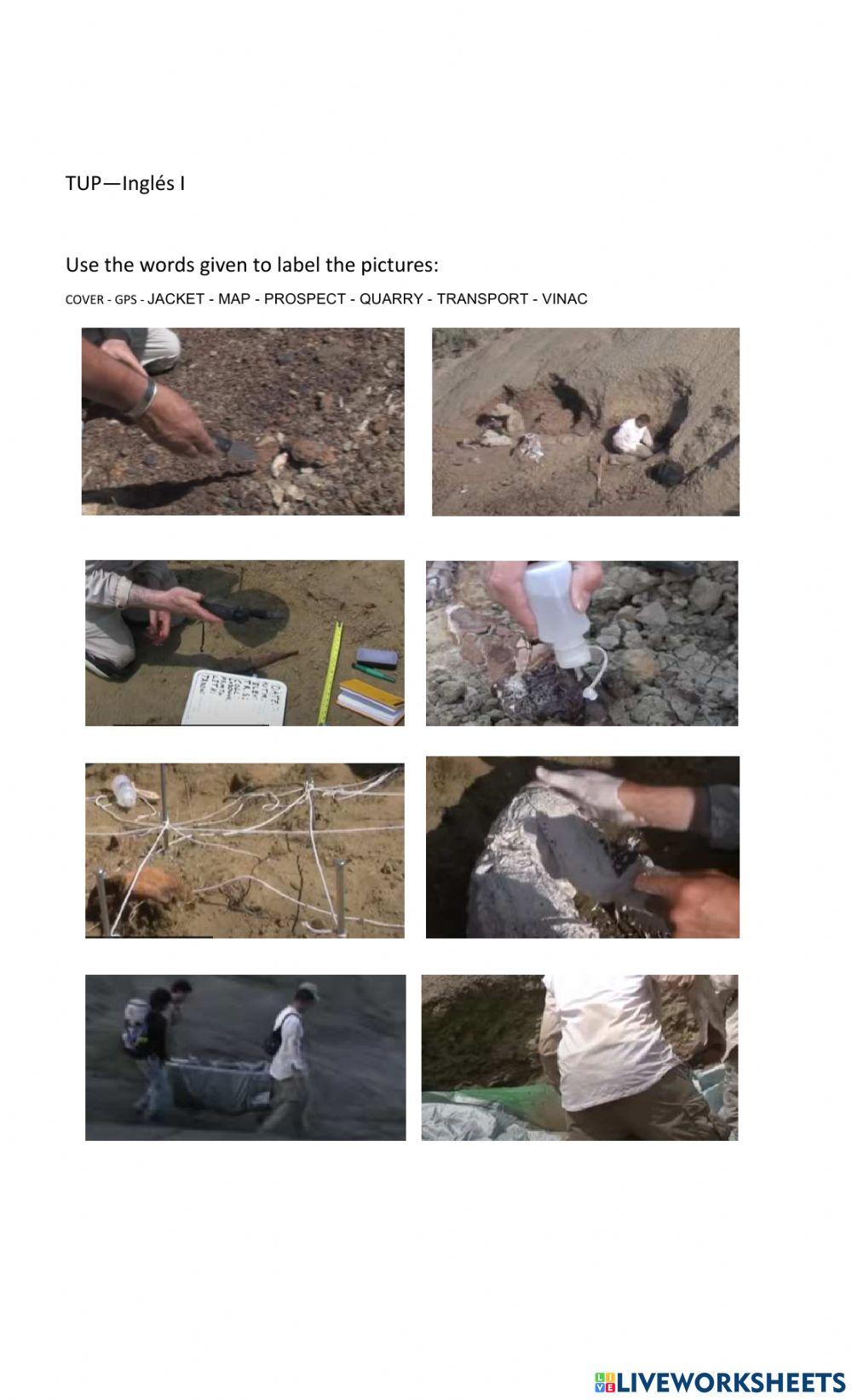 A day at the dig. Processes. Paleo. Vocabulary