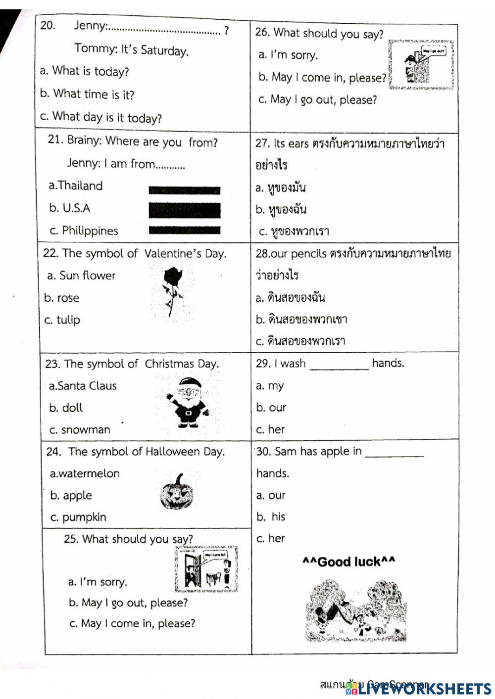 English Test for final examination Primary2