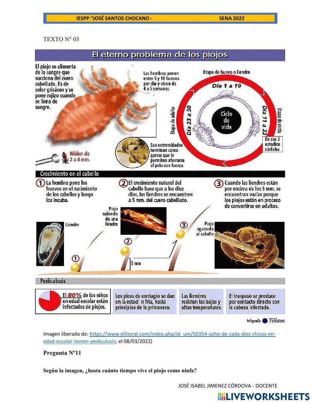 Taller de comprensión de lectura