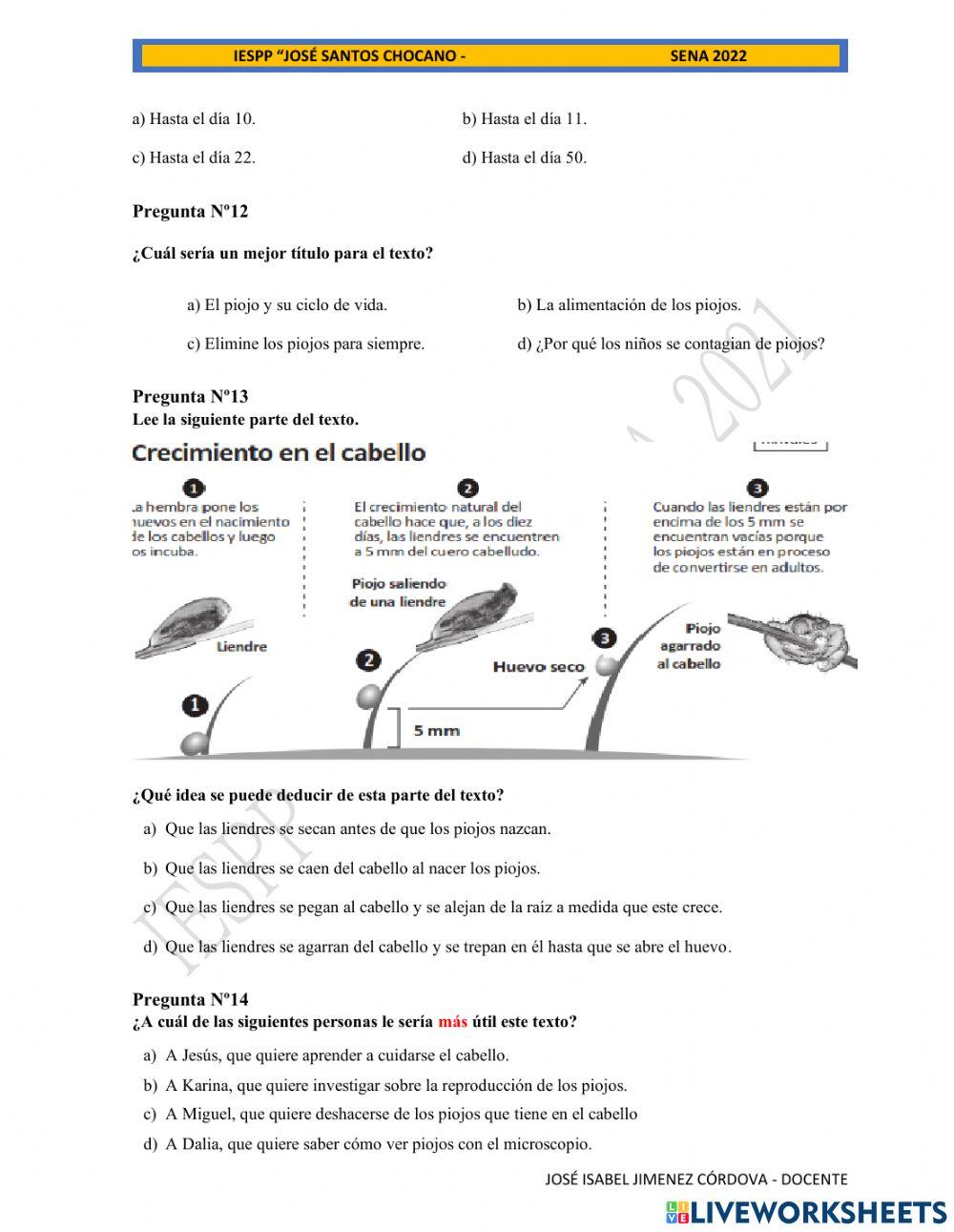 Taller de comprensión de lectura