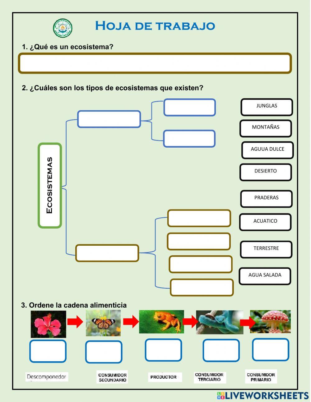 Ecosistema y red trófica