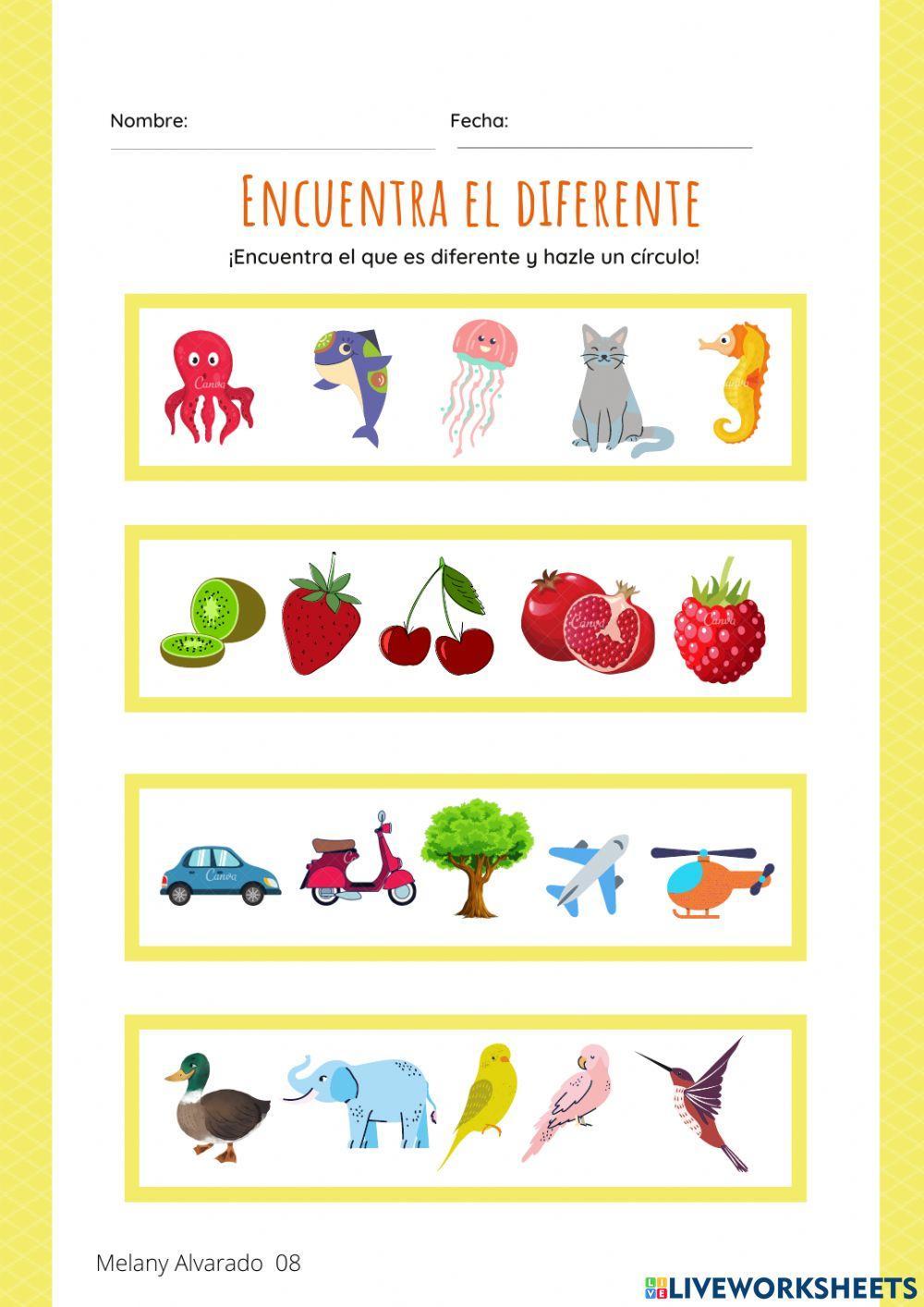 Encuentra la Diferencia