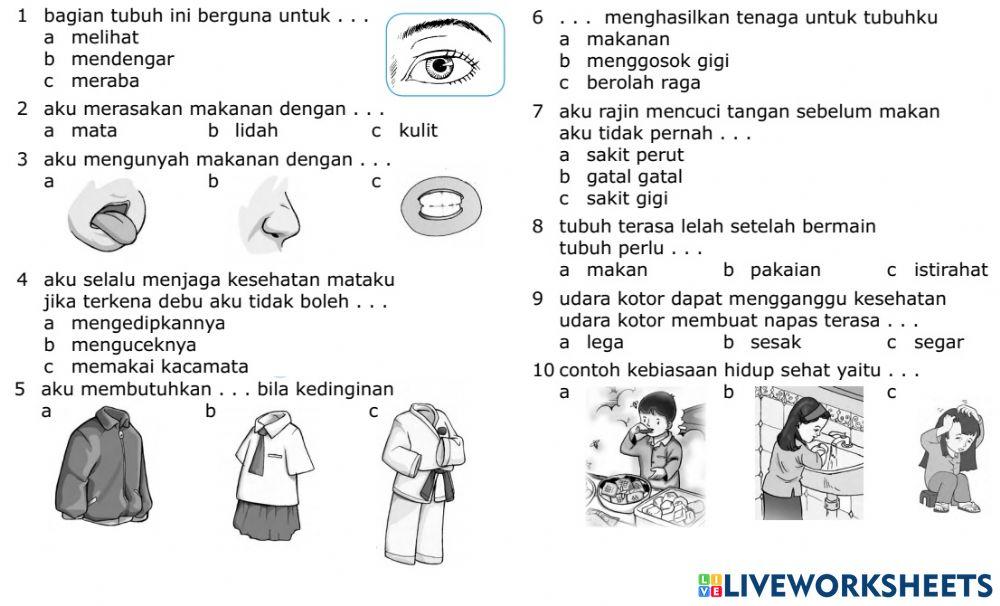 Sm sd 1 ipa bagian tubuh