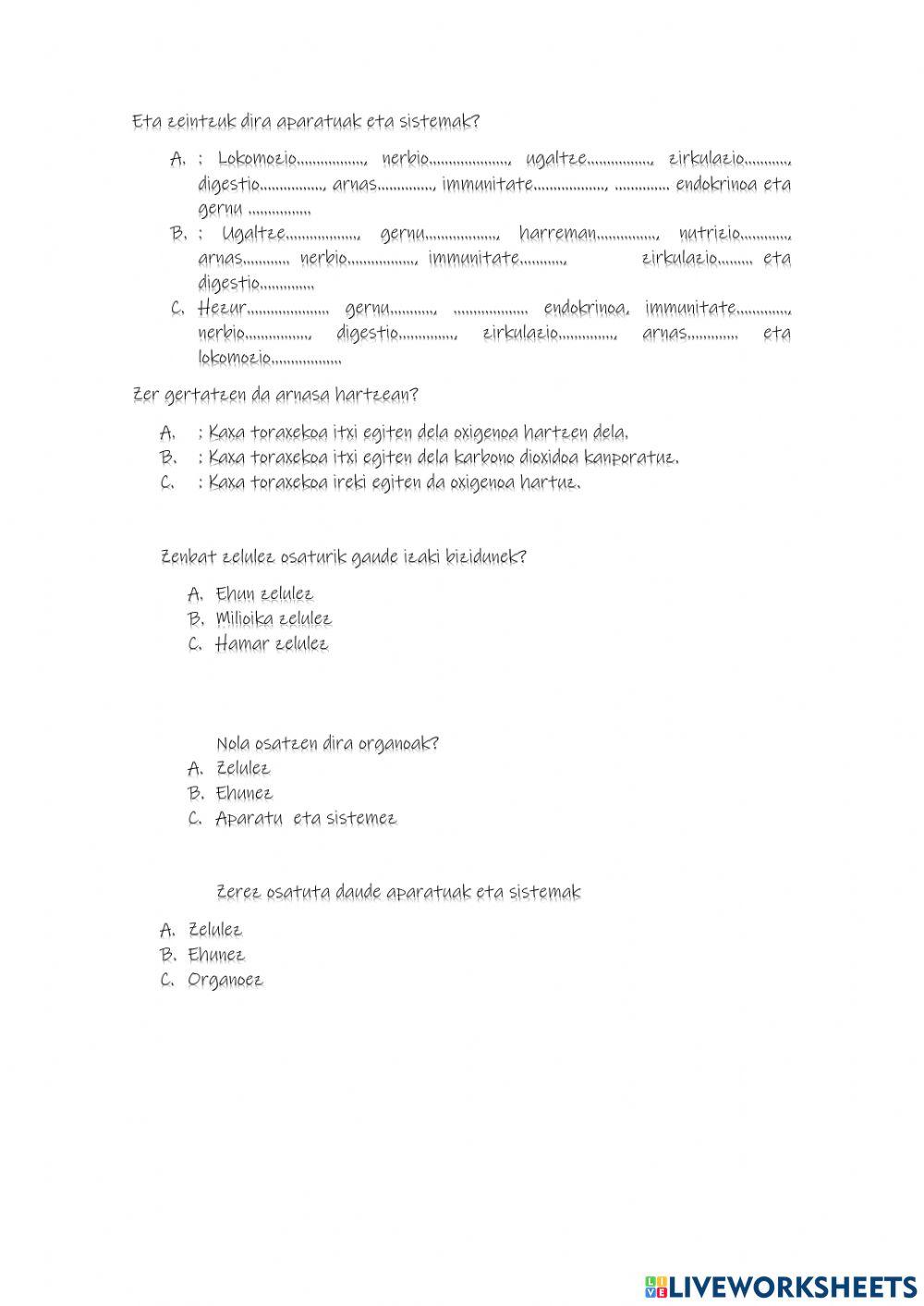 Gorputza eta arnasketa