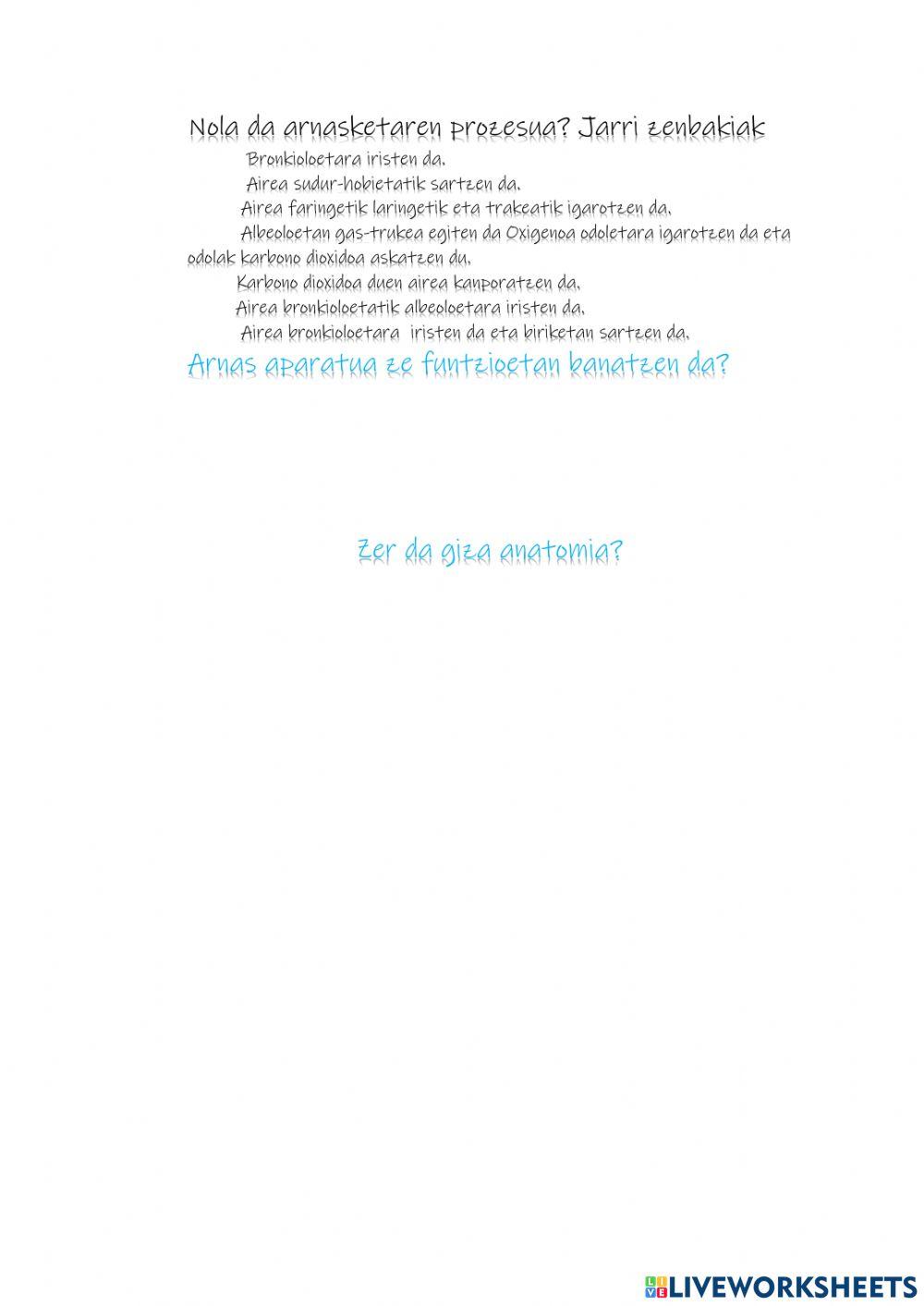 Gorputza eta arnasketa