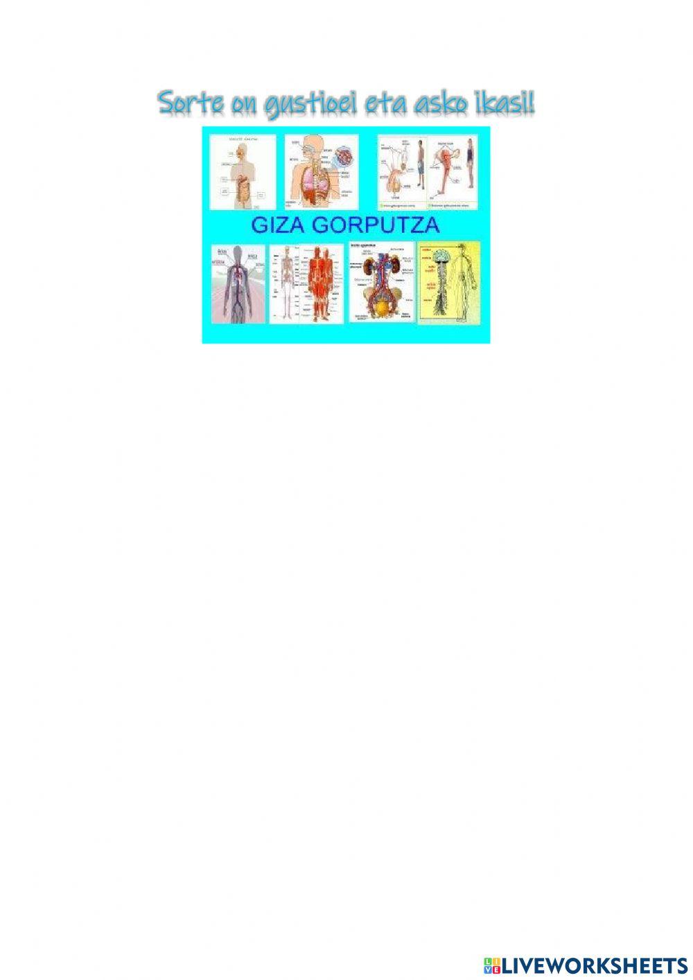 Gorputza eta arnasketa