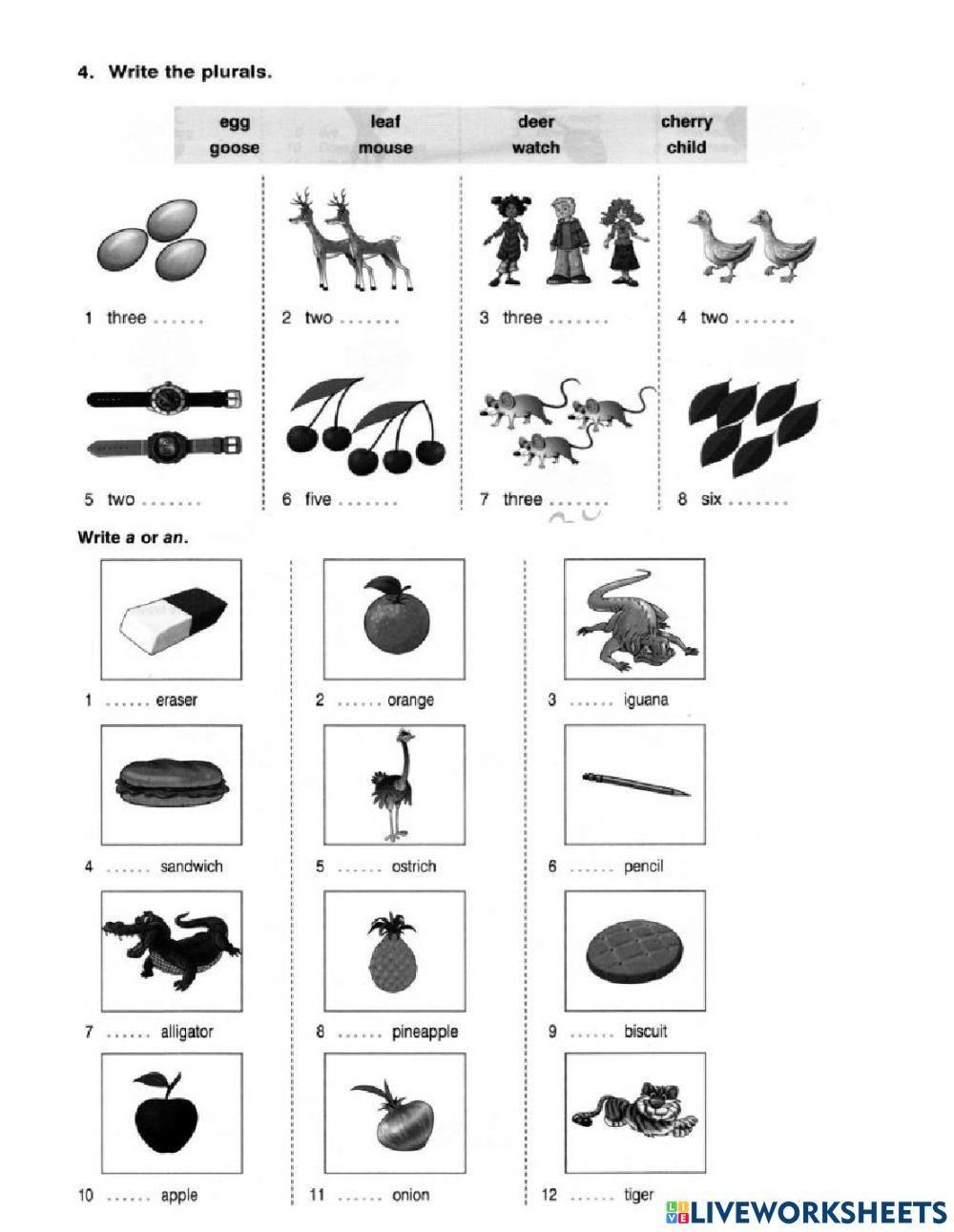 First progress test 1
