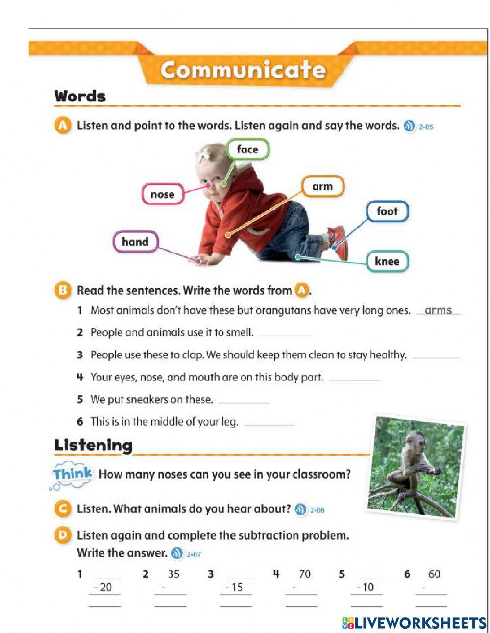 People nouns and verbs