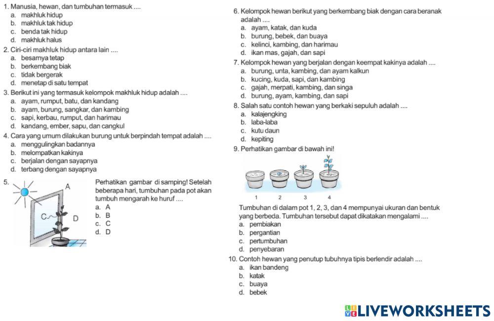 Sm sd 3 mahluk hidup