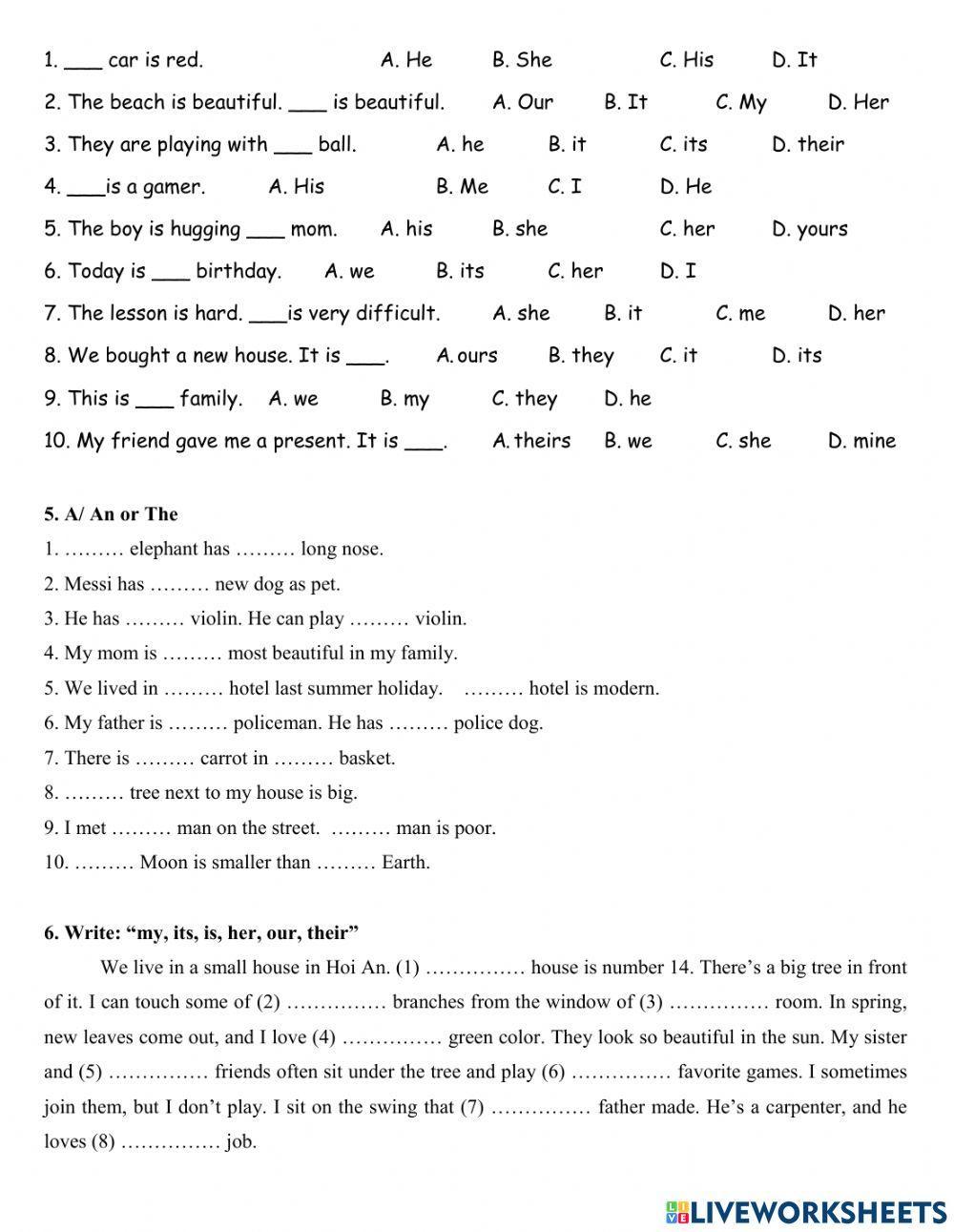 Group 5 - Possessive adjectives and pronouns