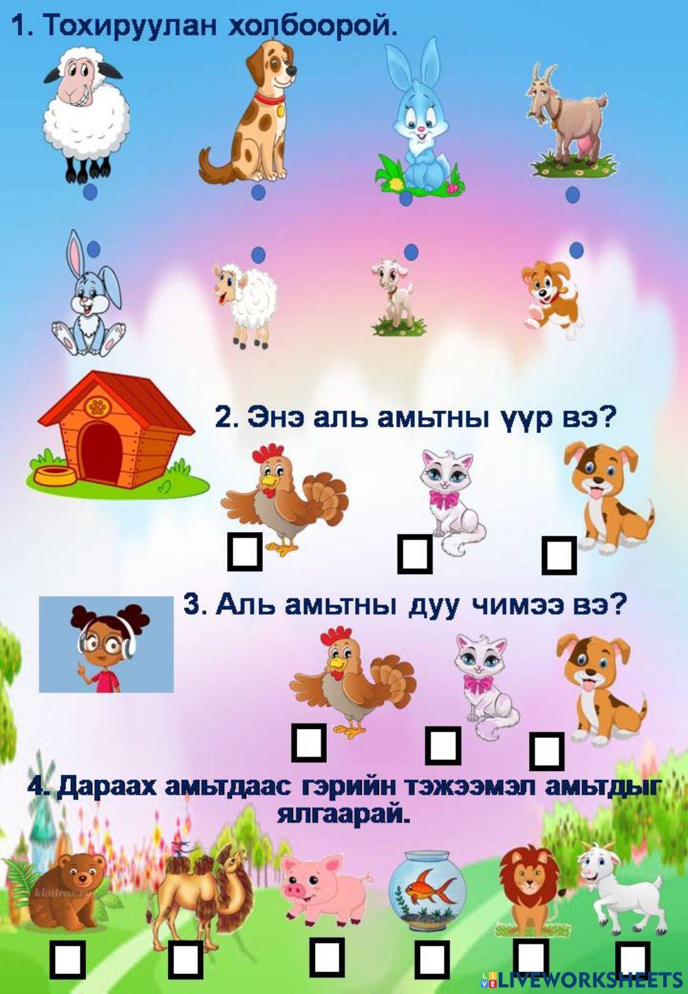 Хүн орчин activity | Live Worksheets