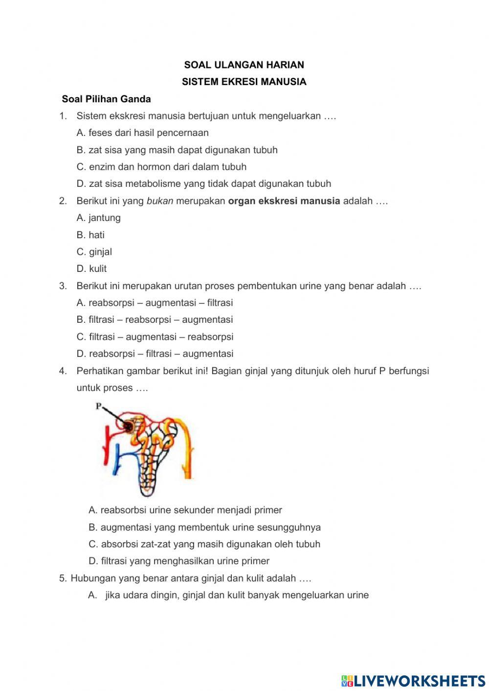 Penilaian harian sistem ekresi