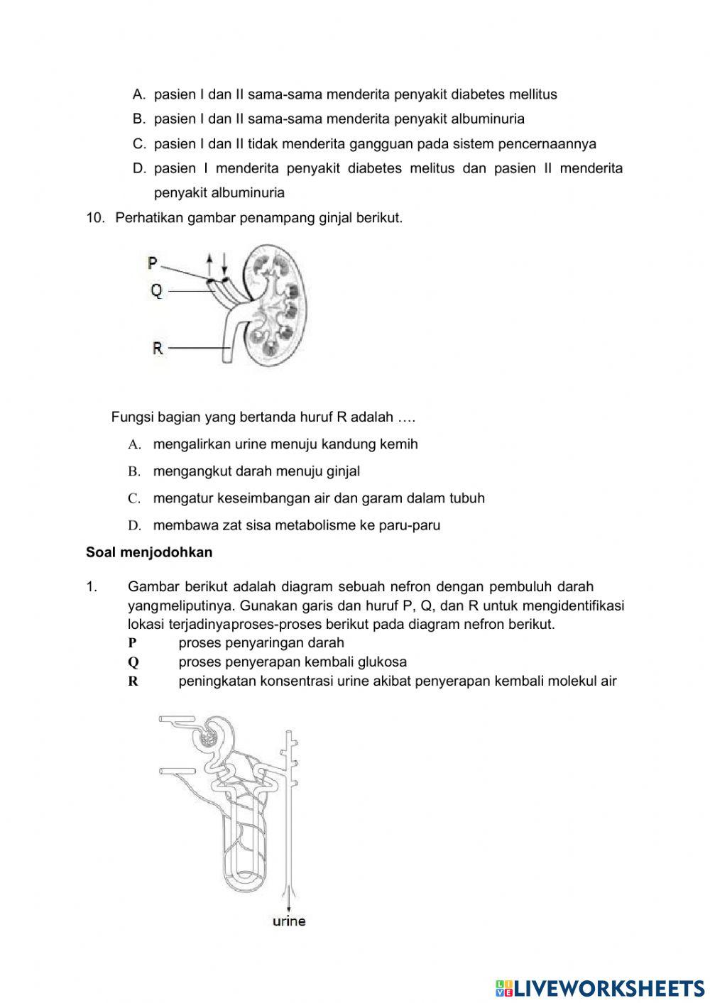 Penilaian harian sistem ekresi