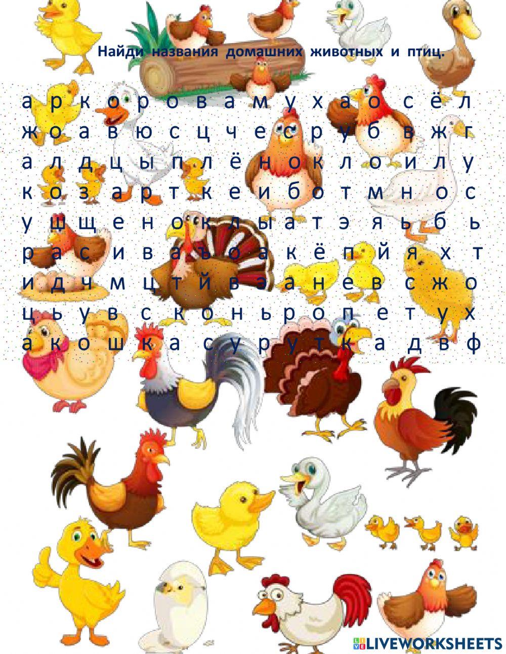 Домашние  животные  и  птицы