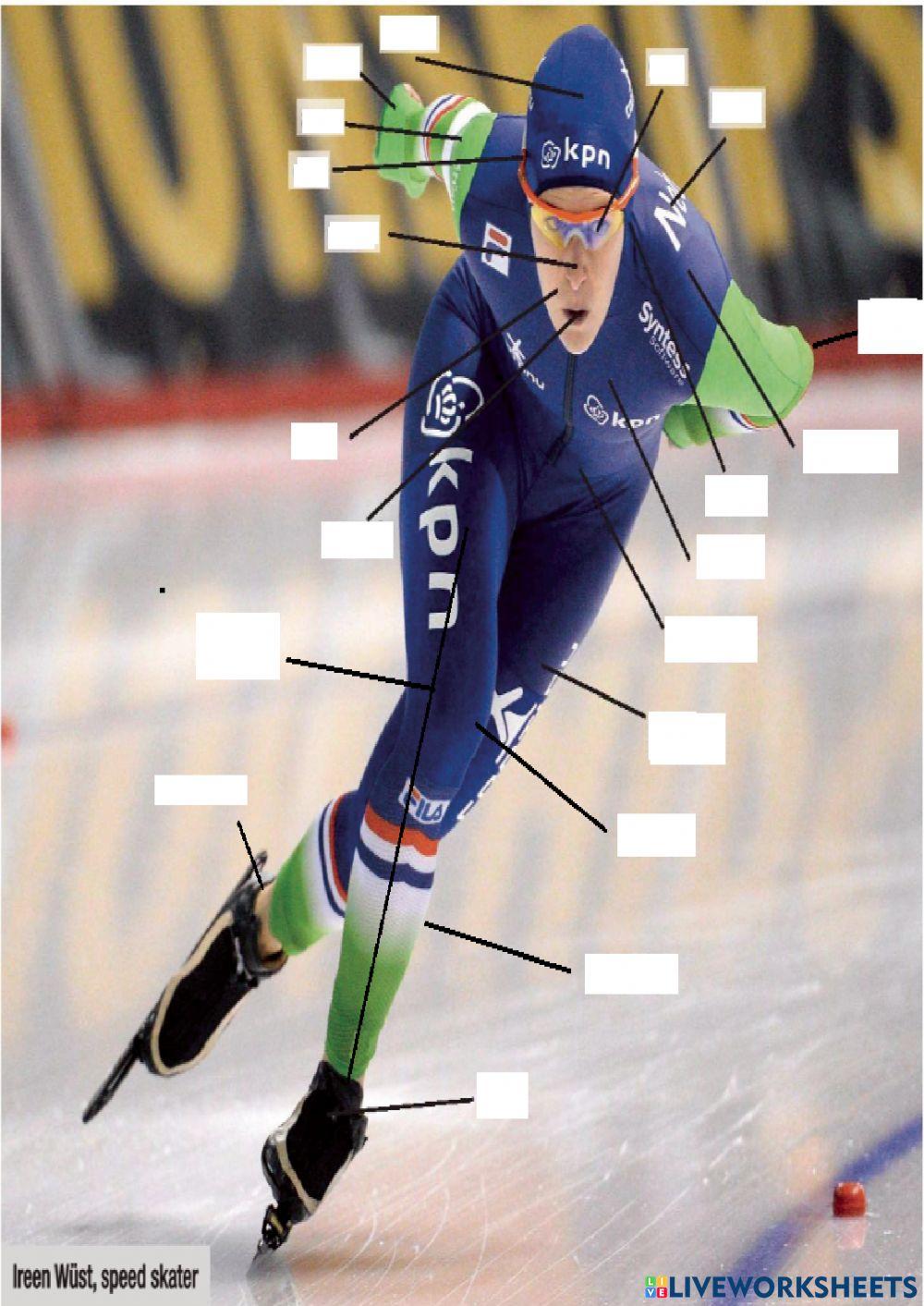 The parts of the body