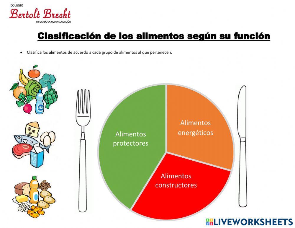 La clasificación de los alimentos según su función