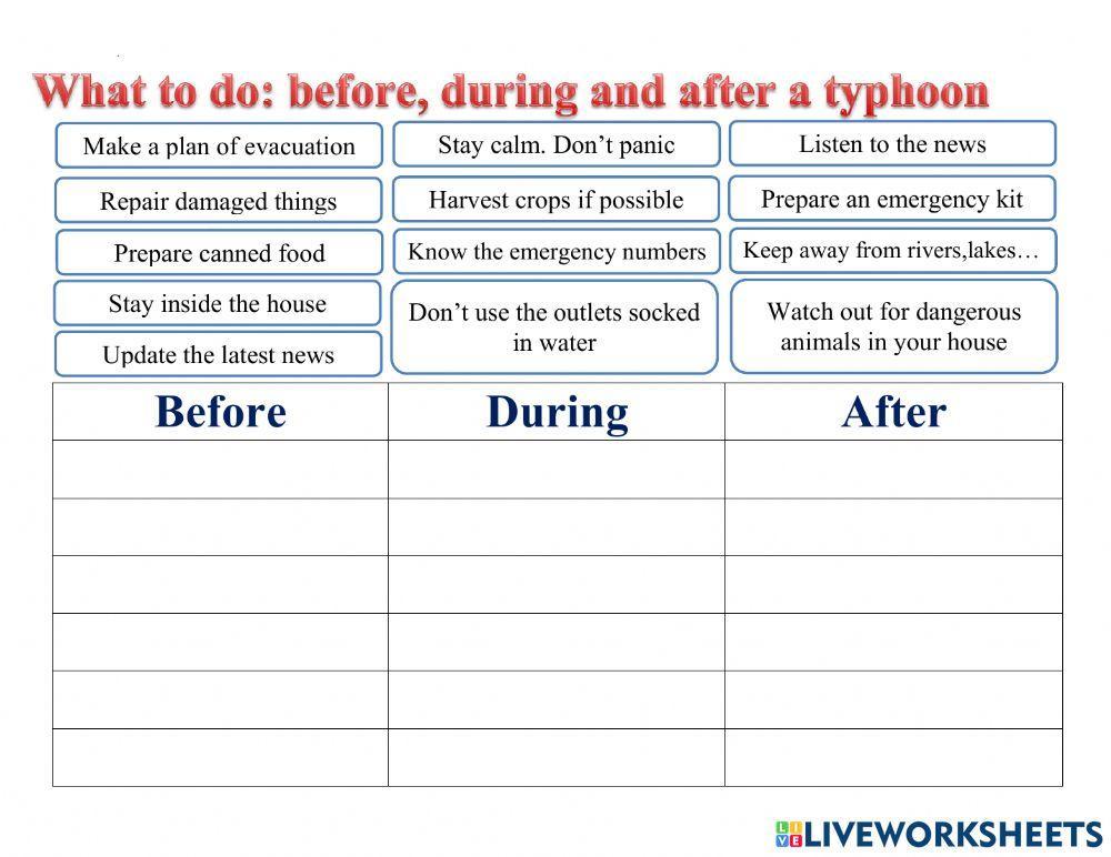 What to do before, during, after a typhoon