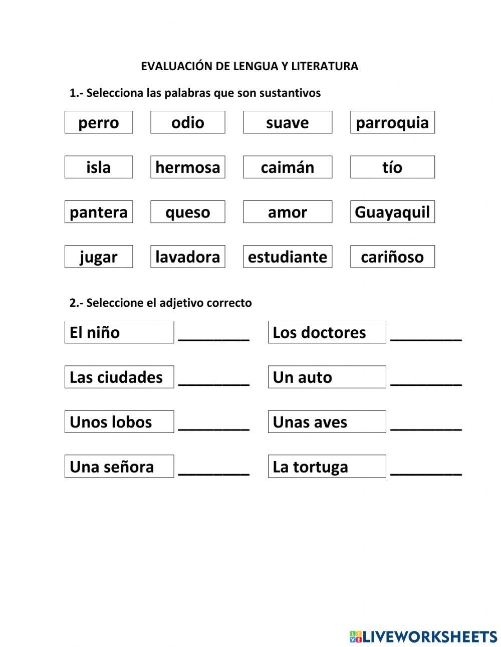 Evaluación (Lengua y Literatura)