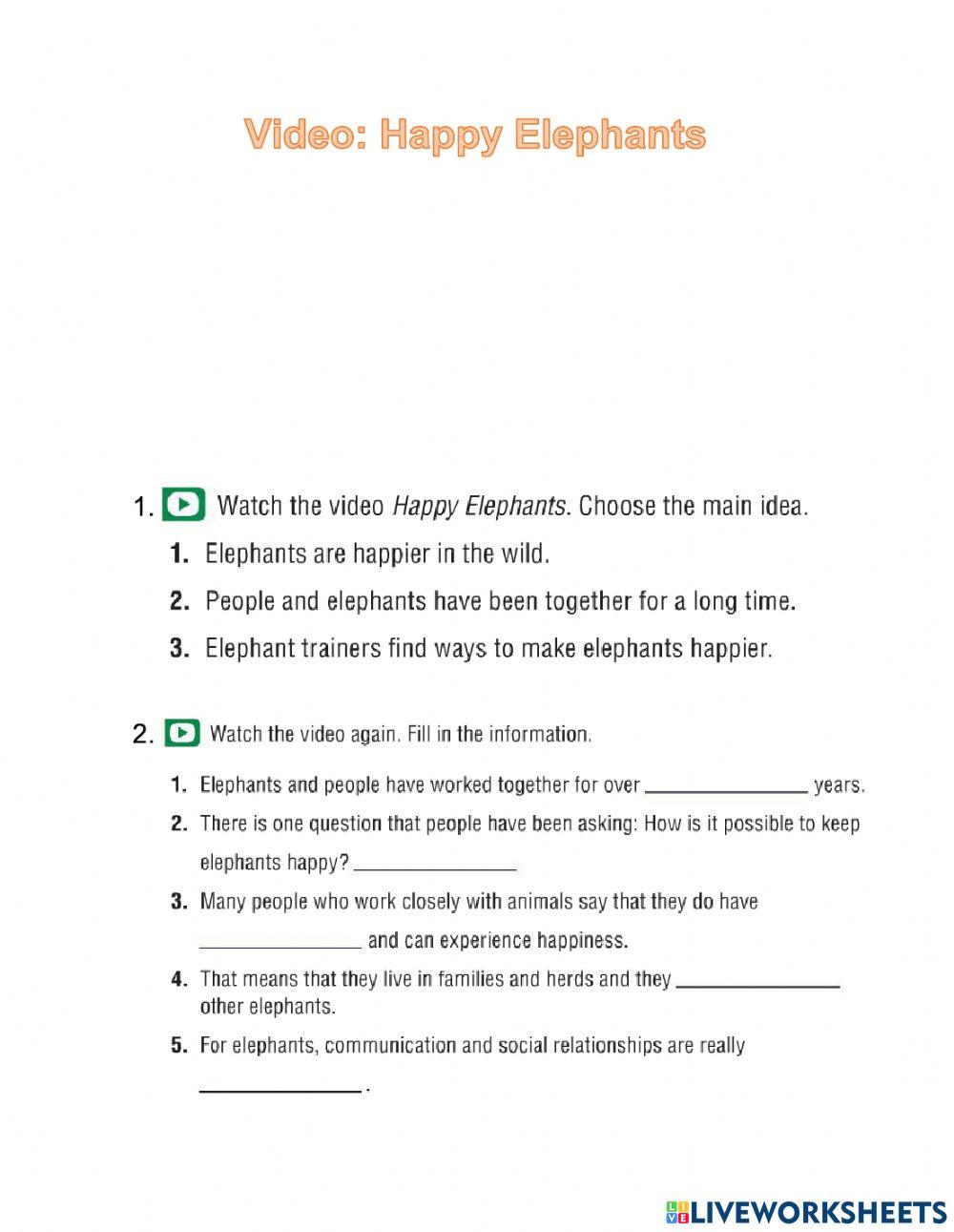 Video: Happy Elephants