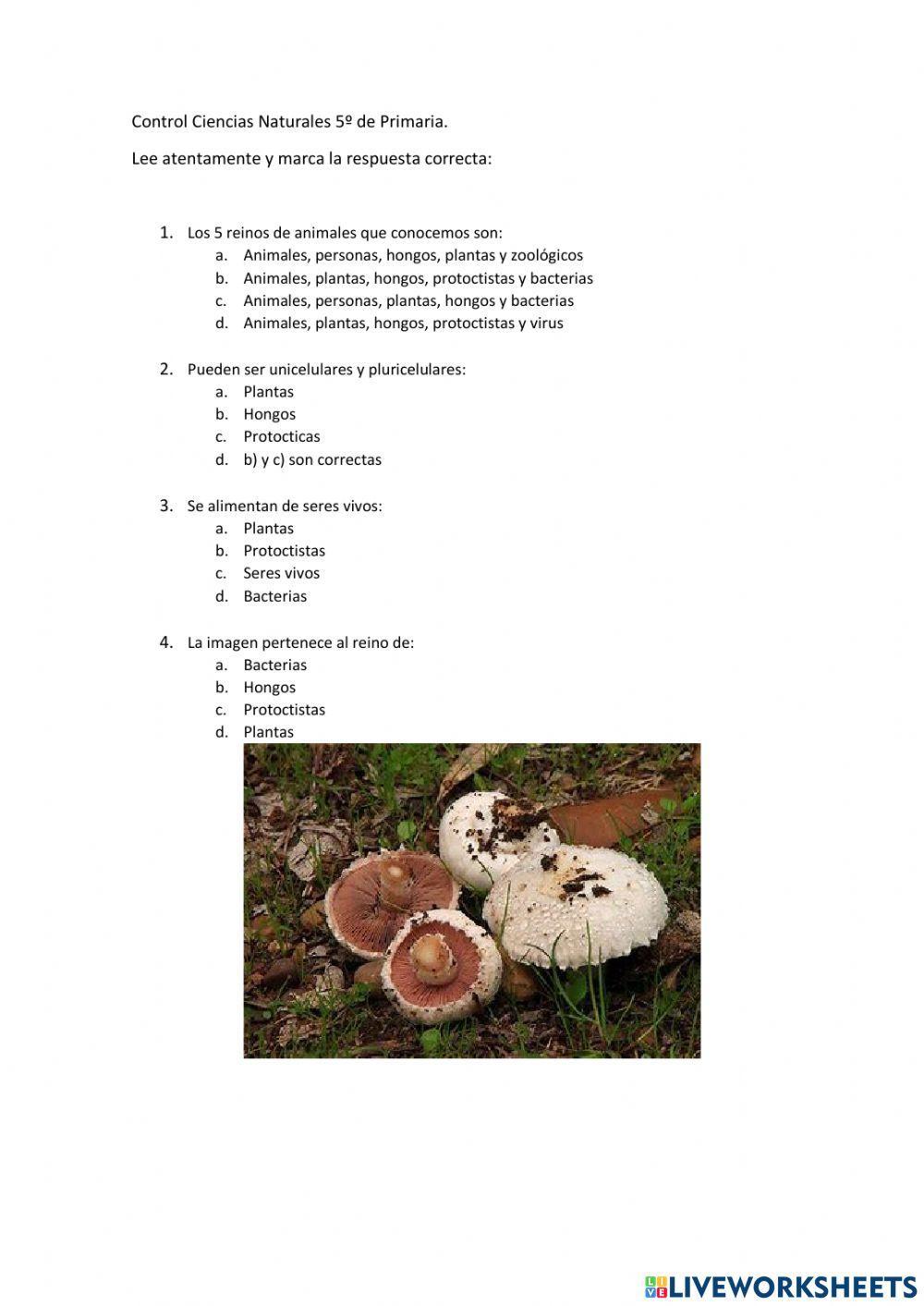 Control Ciencias Naturales