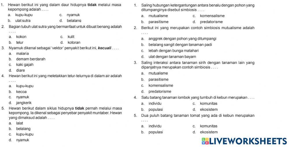 Sm sd 4 ipa ekosistem