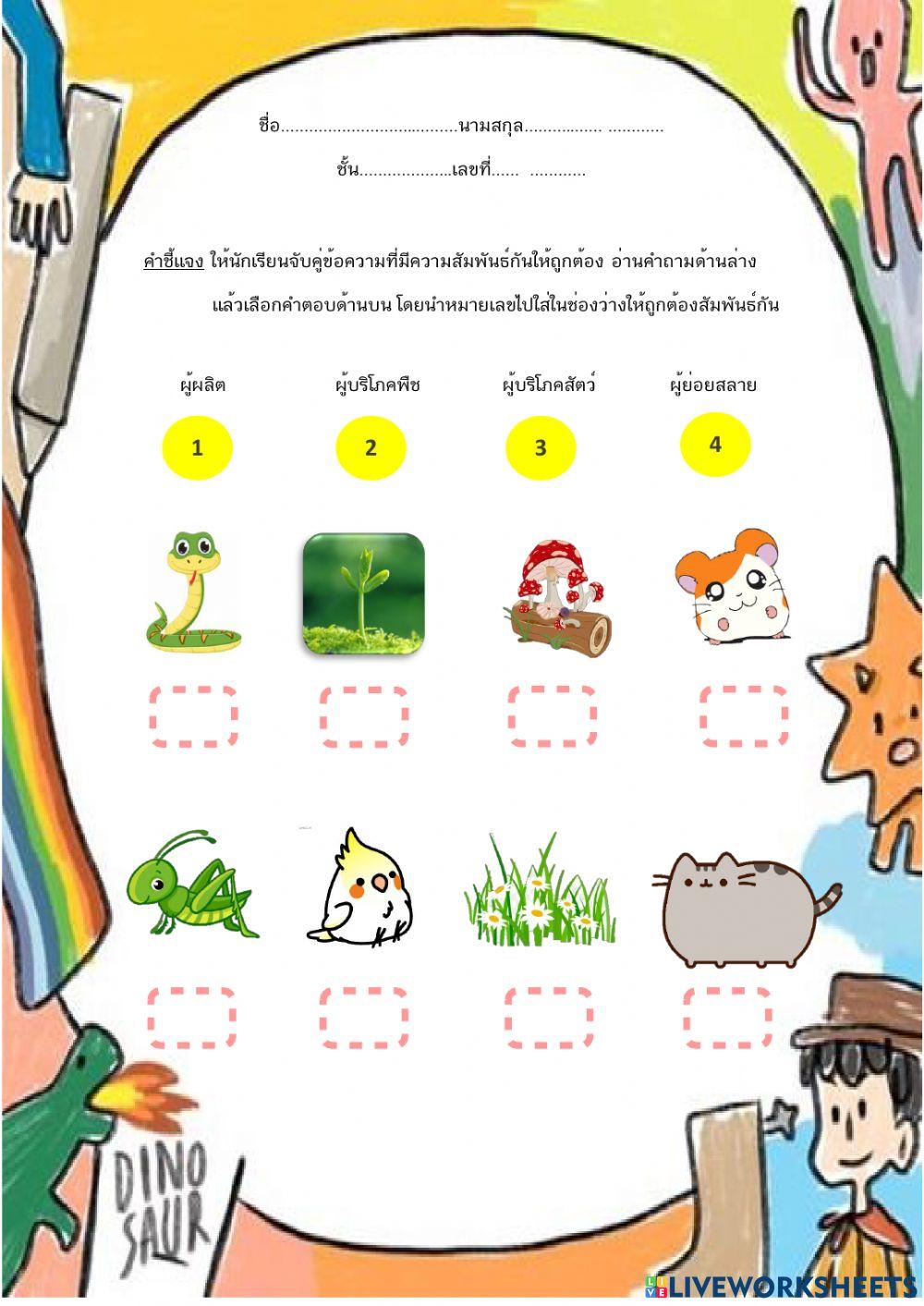 Food chain online activity for 5 Biology Diagrams