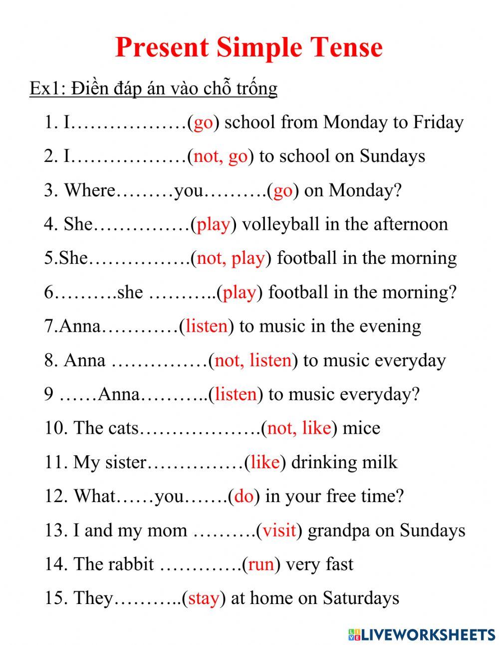 Present Simple Tense