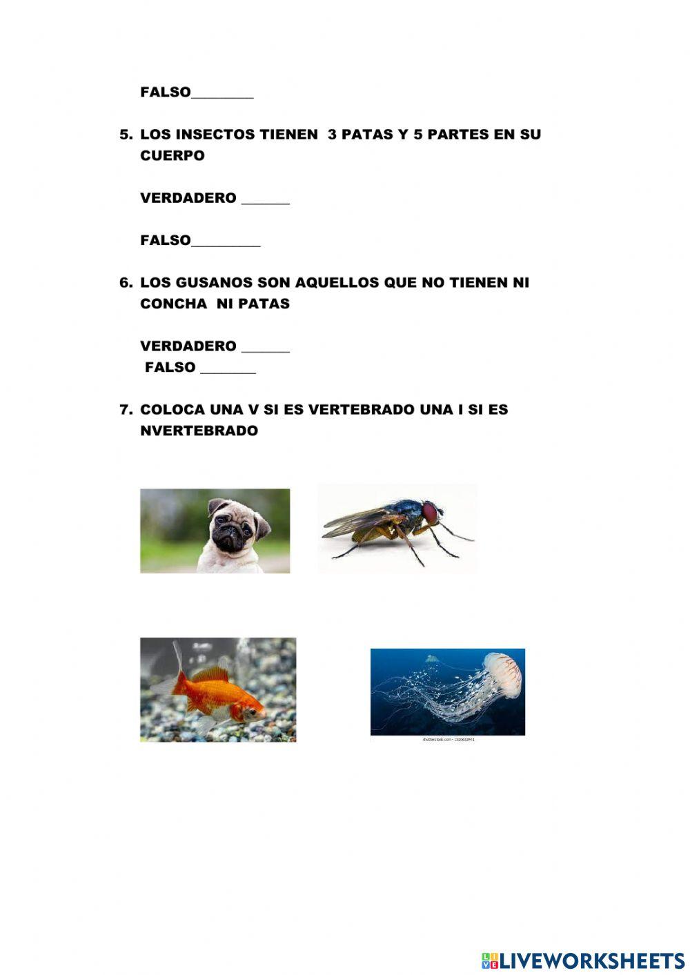 Prueba  de ciencias naturales