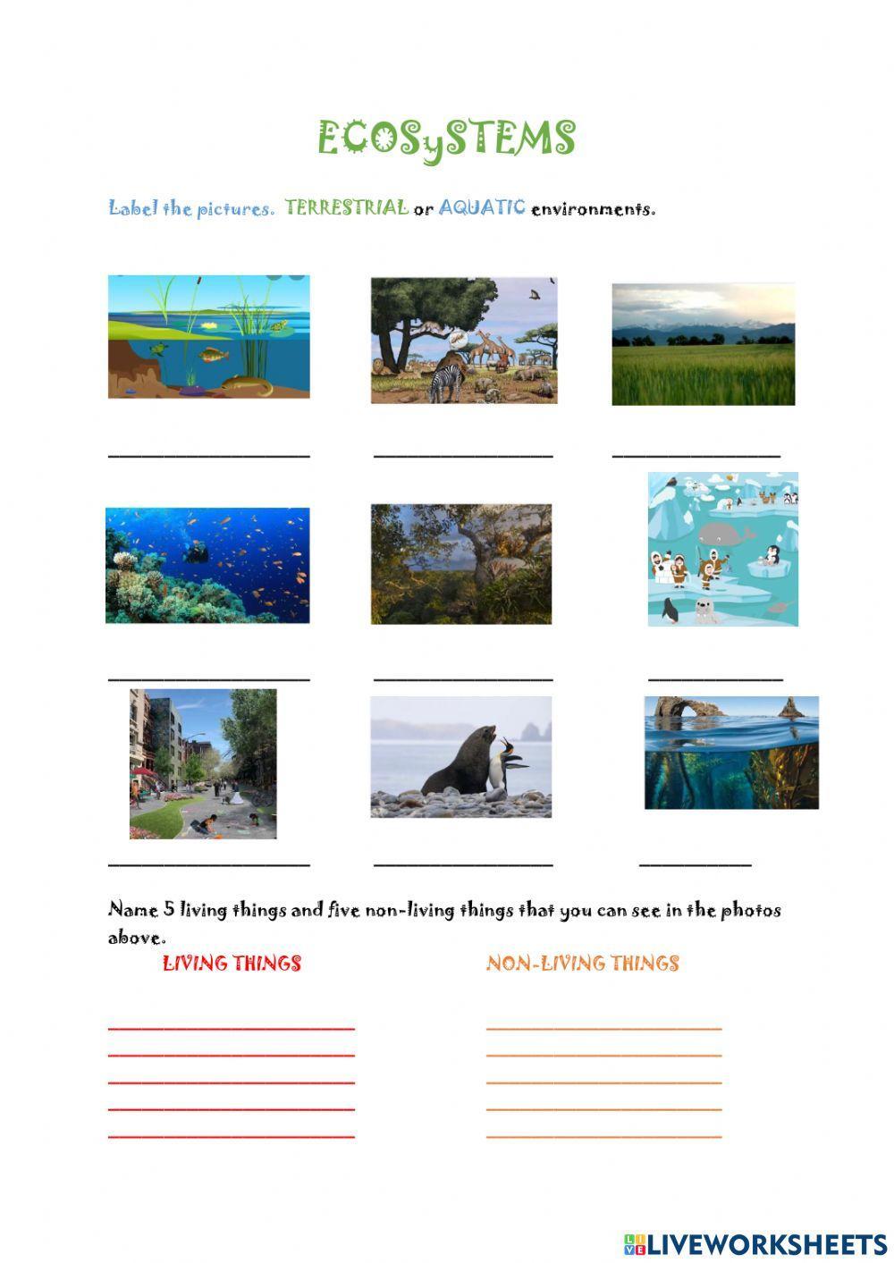 1931996-ecosystems-marga65-liveworksheets
