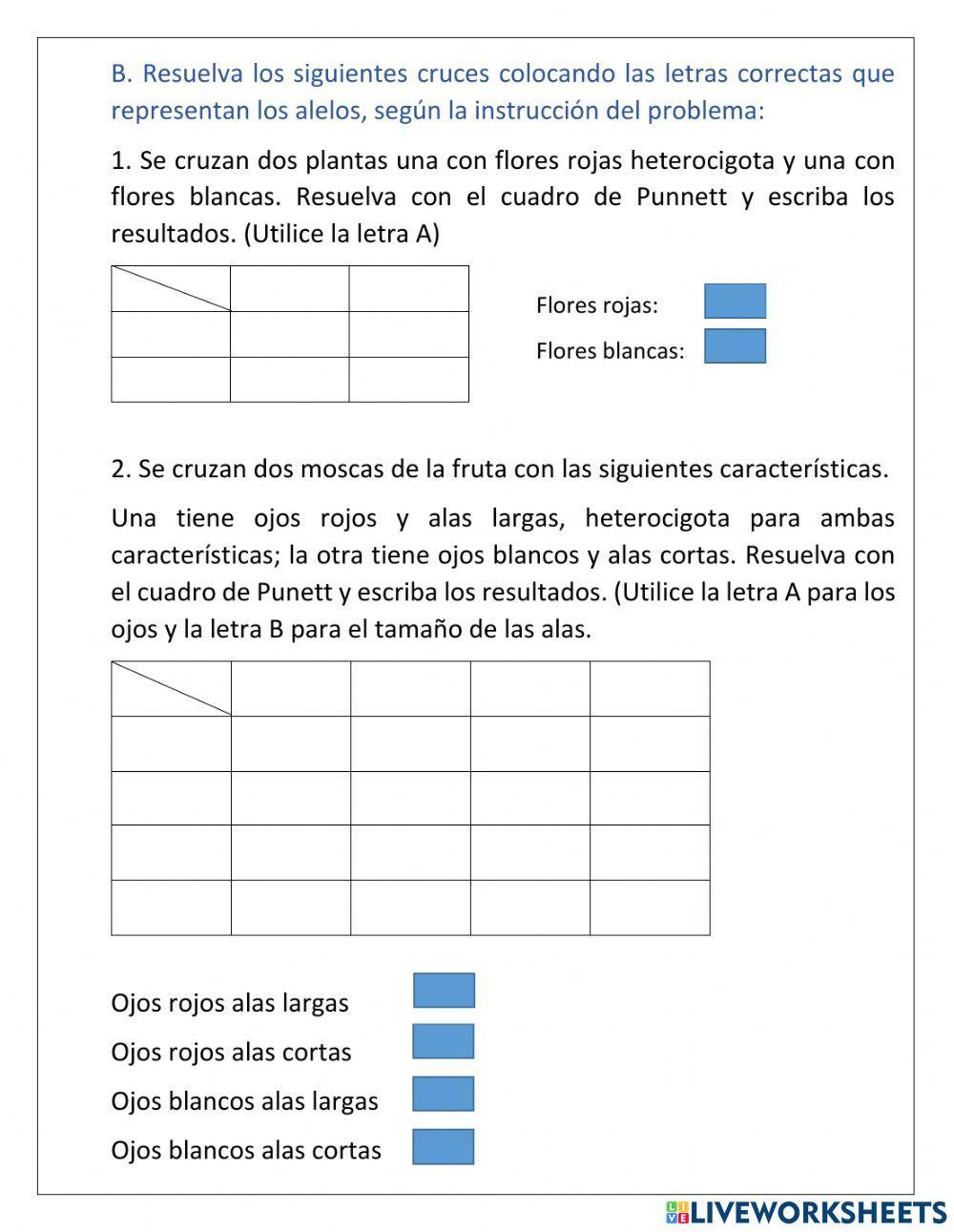 Genética -Cuadros de Punnett-Dieta