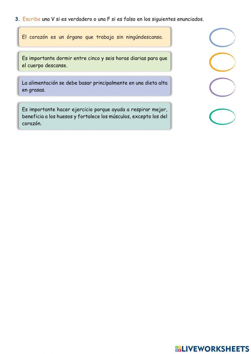 Sistema Circulatorio