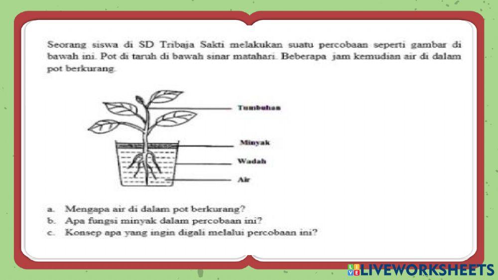 Latihan soal olimpiade sains