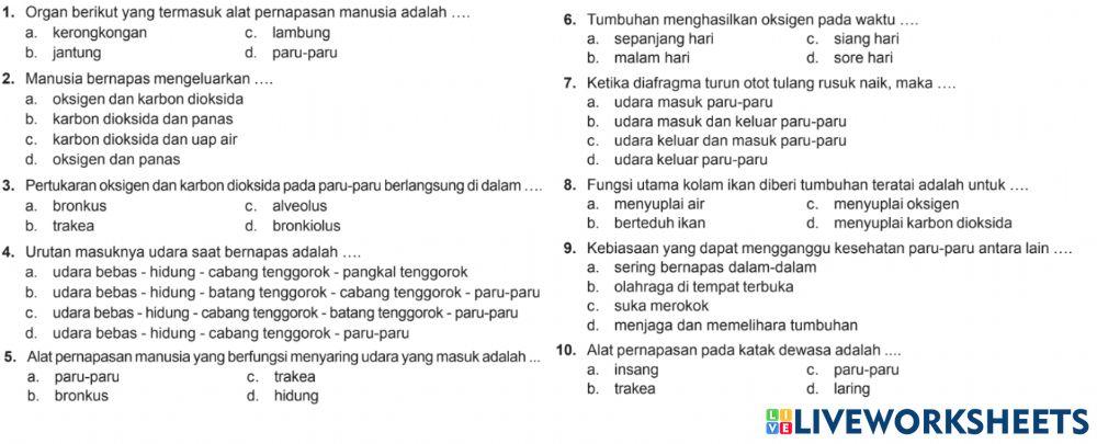 Sm sd 5 organ pernafasan