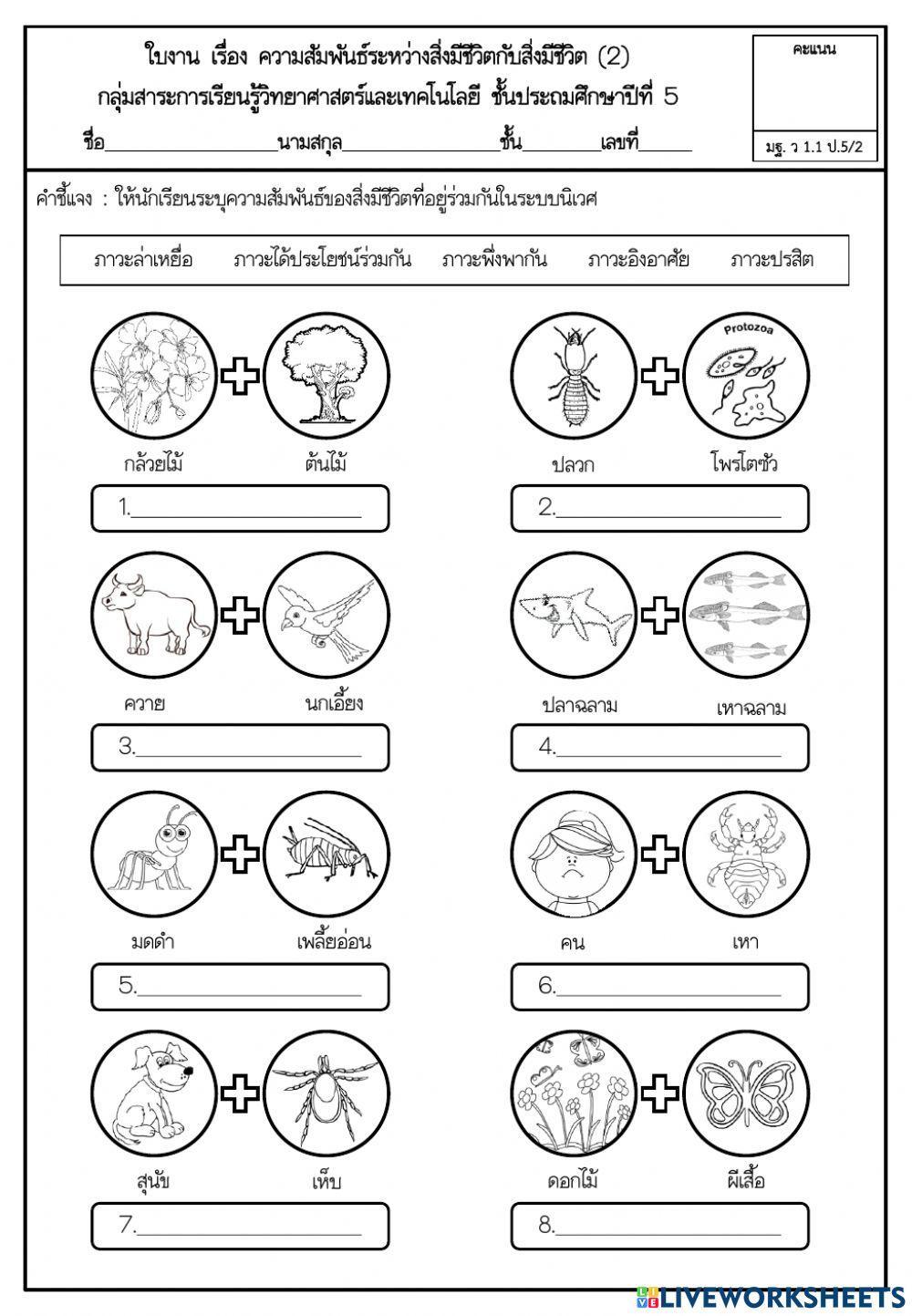 ใบงาน เรื่อง ความสัมพันธ์ของสิ่งมีชีวิตและสิ่งแวดล้อม