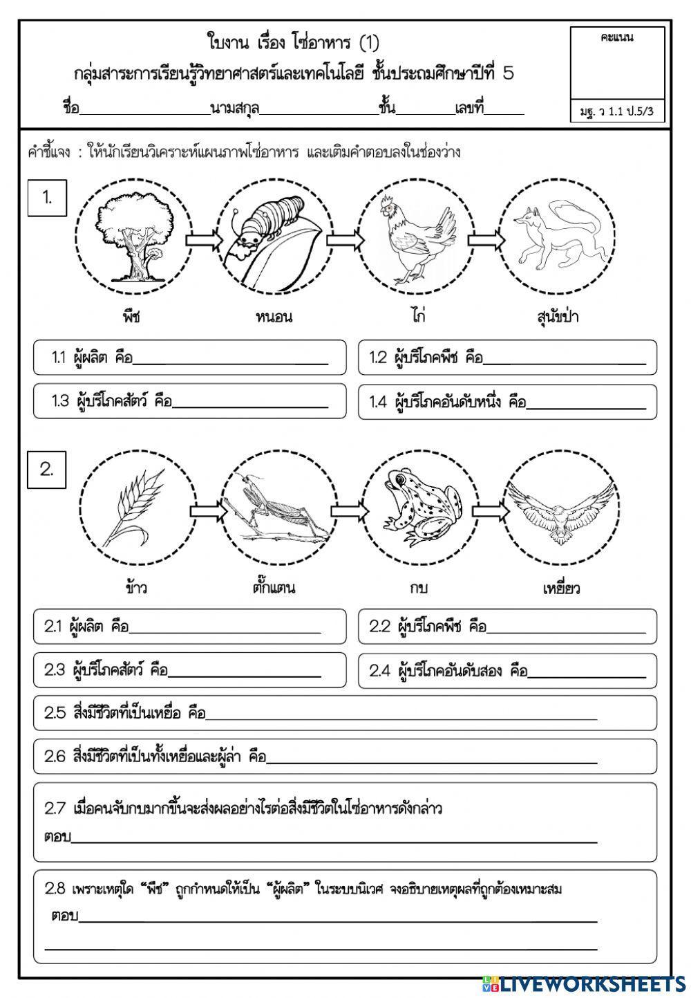 ใบงาน เรื่อง ความสัมพันธ์ของสิ่งมีชีวิตและสิ่งแวดล้อม